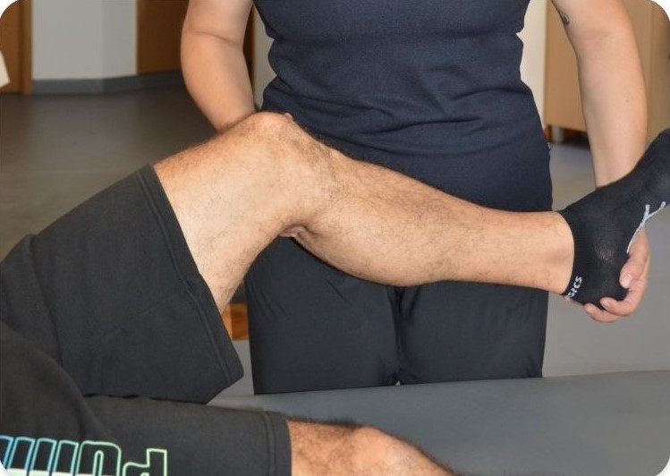 F Musculoesqueletica